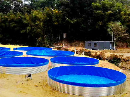 Pool Liner